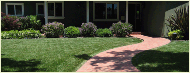 Clancy's Landscape and Maintenance provides the best in landscaping and sprinkler service for San Jose and the Santa Clara Valley