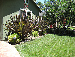 palo alto landscaping